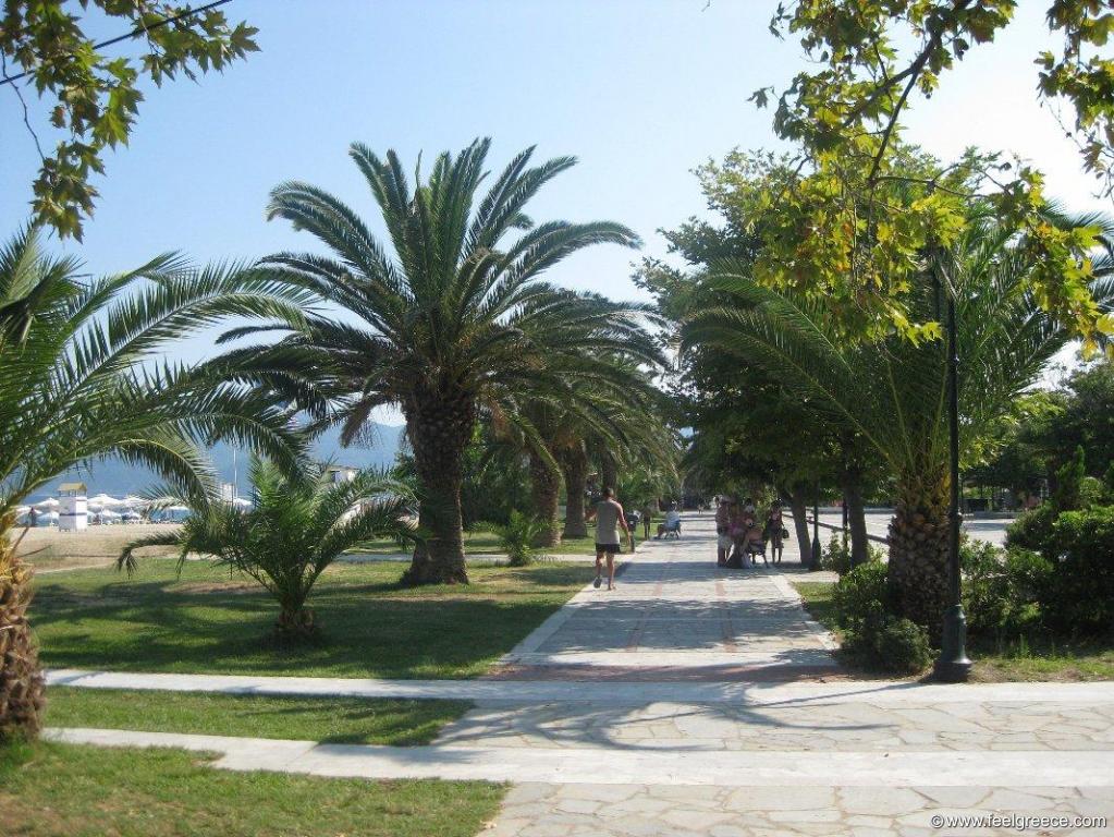 asprovalta harmony suites